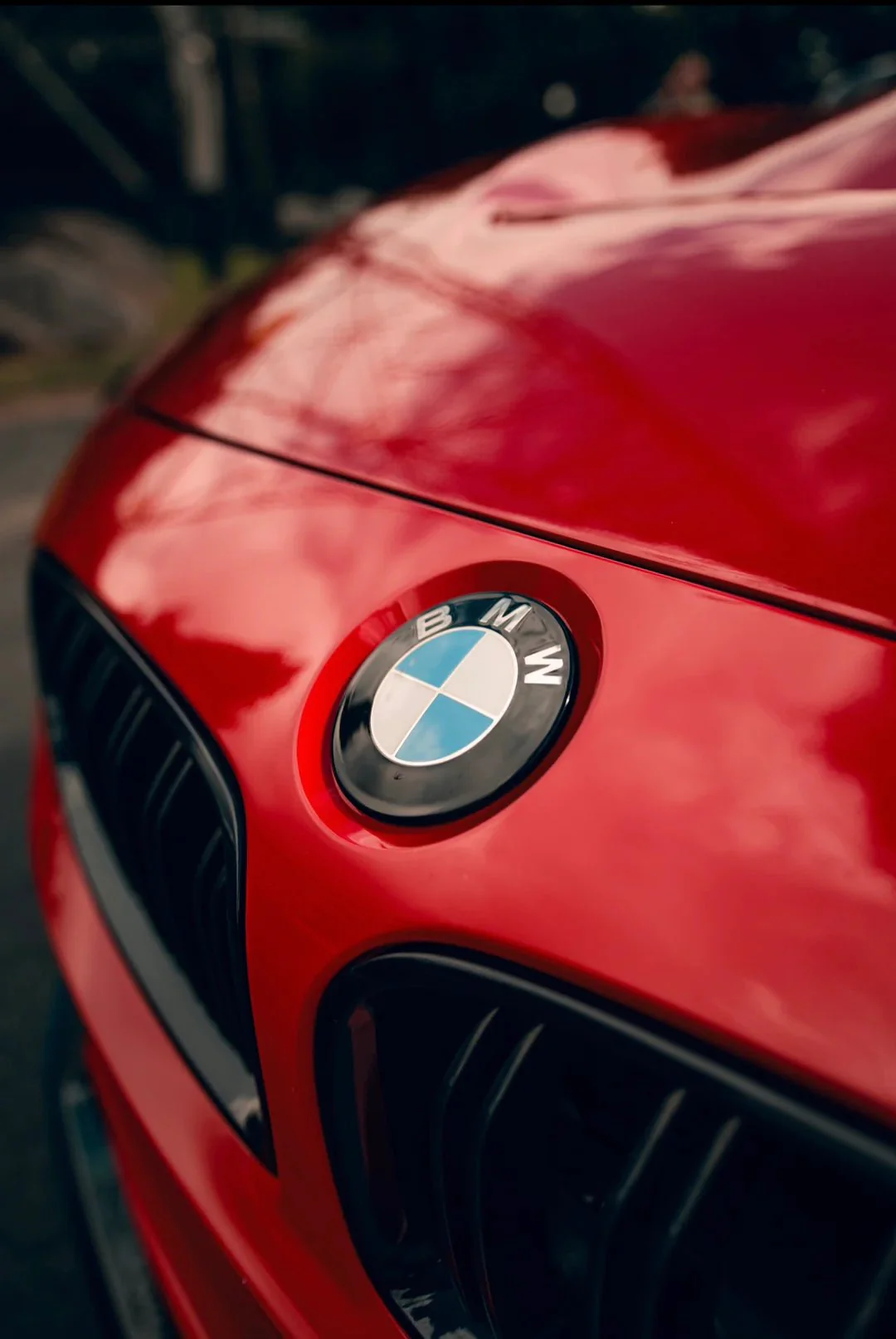 BMW Dechromed Roundels | OEM Black Badge Upgrade - Image 8